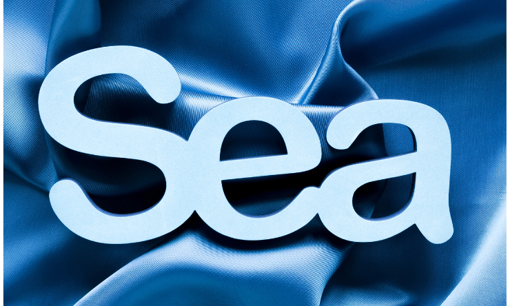 SEO SEA